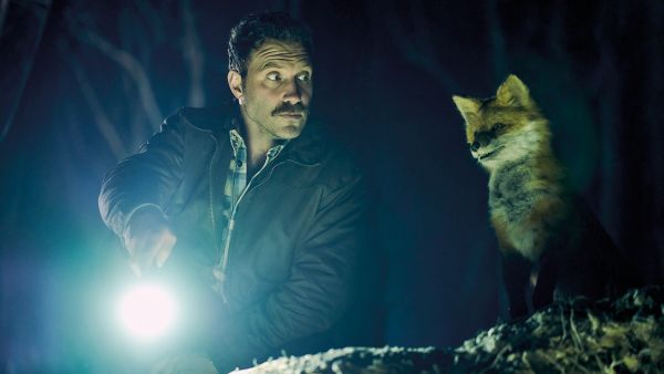 The Fox